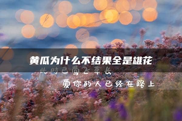 黄瓜为什么不结果全是雄花