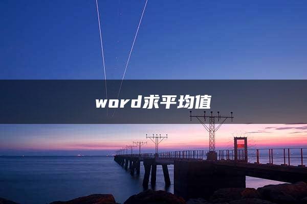 word求平均值