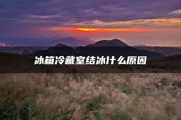 冰箱冷藏室结冰什么原因