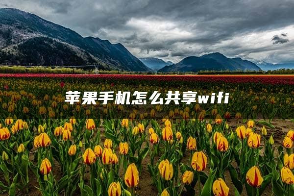 苹果手机怎么共享wifi