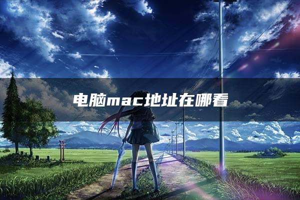 电脑mac地址在哪看