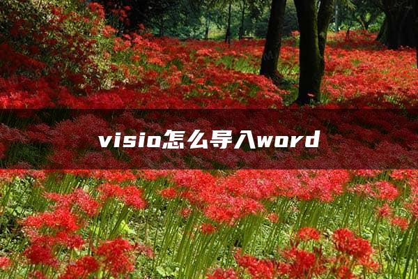 visio怎么导入word