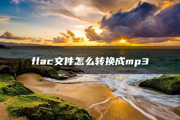 flac文件怎么转换成mp3