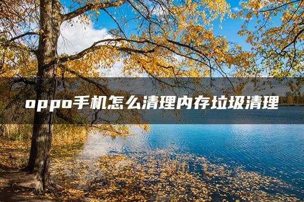 oppo手机怎么清理内存垃圾清理