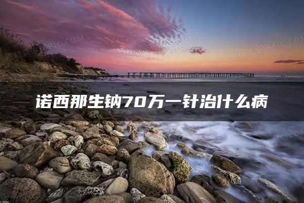 诺西那生钠70万一针治什么病