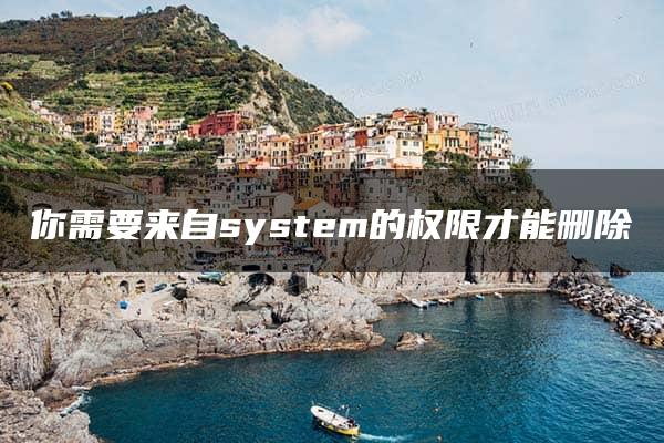 你需要来自system的权限才能删除