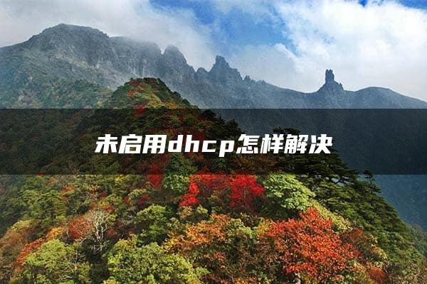 未启用dhcp怎样解决