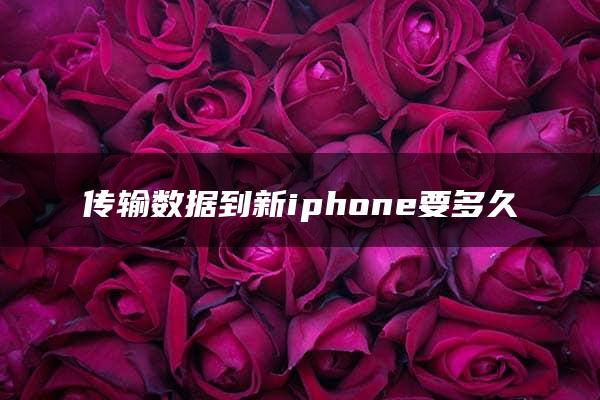 传输数据到新iphone要多久