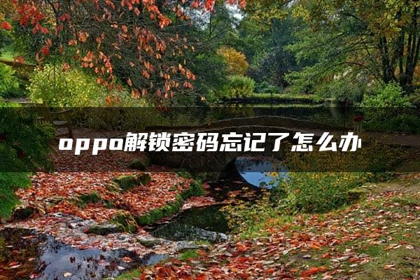 oppo解锁密码忘记了怎么办