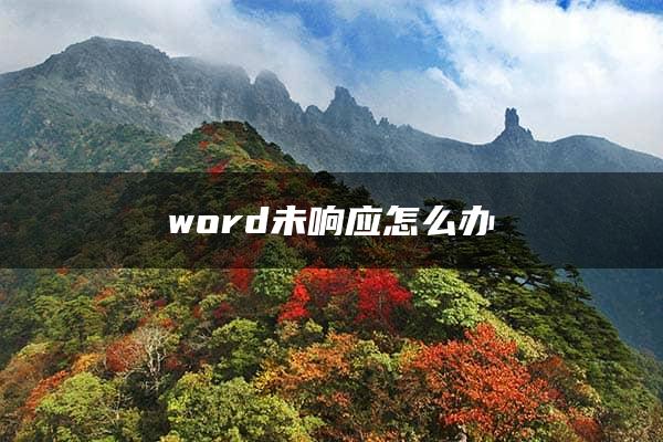 word未响应怎么办