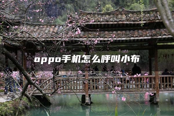 oppo手机怎么呼叫小布