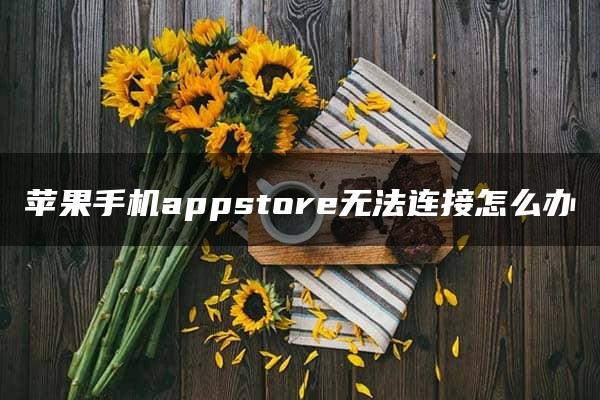 苹果手机appstore无法连接怎么办