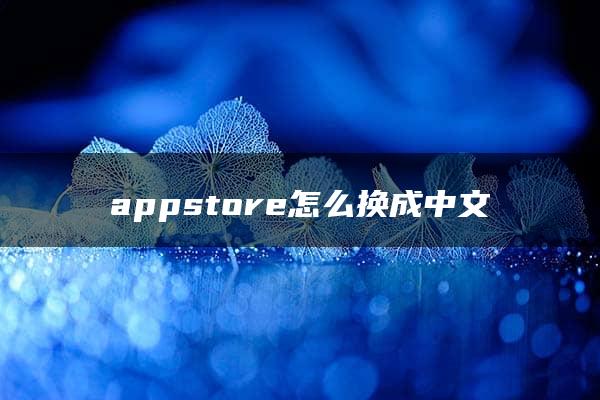 appstore怎么换成中文