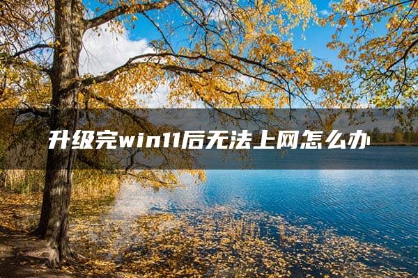 升级完win11后无法上网怎么办