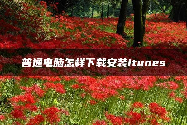 普通电脑怎样下载安装itunes