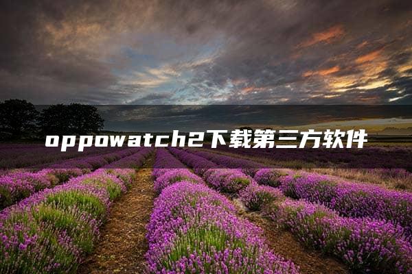 oppowatch2下载第三方软件