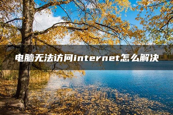 电脑无法访问internet怎么解决