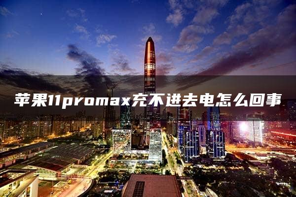 苹果11promax充不进去电怎么回事