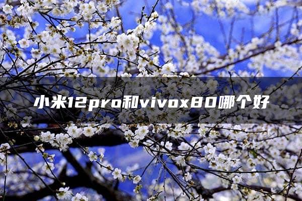 小米12pro和vivox80哪个好