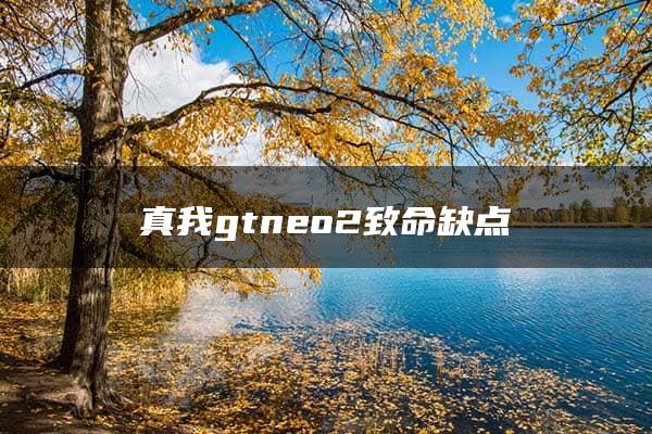 真我gtneo2致命缺点