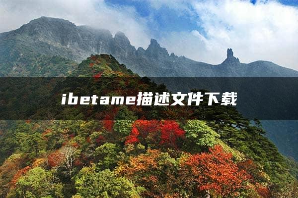 ibetame描述文件下载