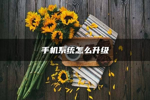 手机系统怎么升级