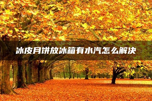 冰皮月饼放冰箱有水汽怎么解决