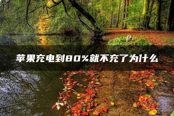 苹果充电到80%就不充了为什么