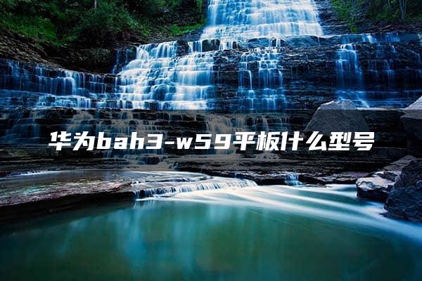 华为bah3-w59平板什么型号