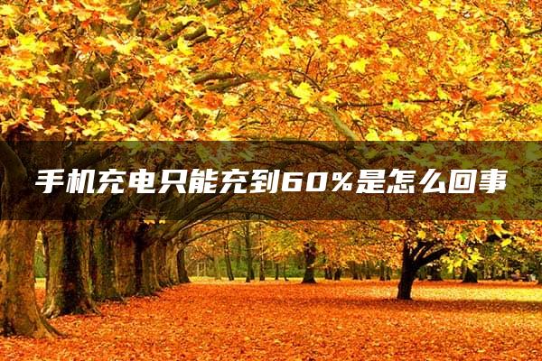 手机充电只能充到60%是怎么回事