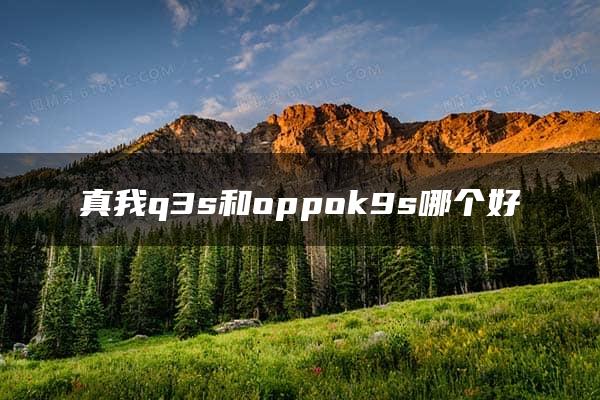 真我q3s和oppok9s哪个好