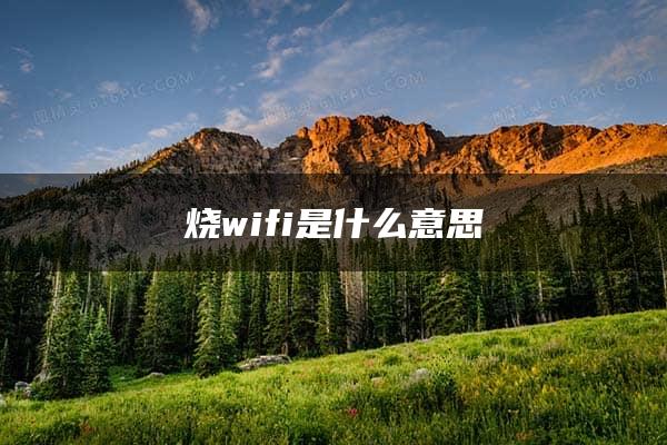 烧wifi是什么意思