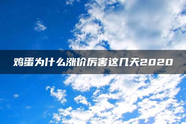 鸡蛋为什么涨价厉害这几天2020