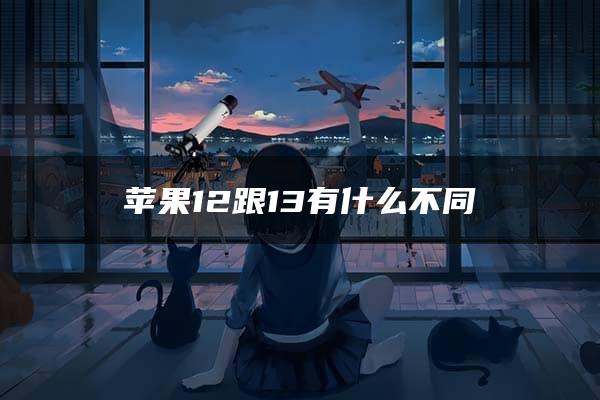 苹果12跟13有什么不同