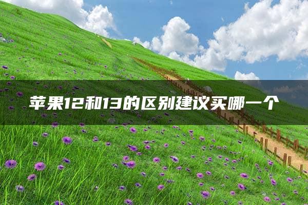 苹果12和13的区别建议买哪一个