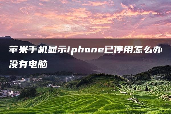 苹果手机显示iphone已停用怎么办没有电脑