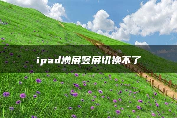 ipad横屏竖屏切换不了