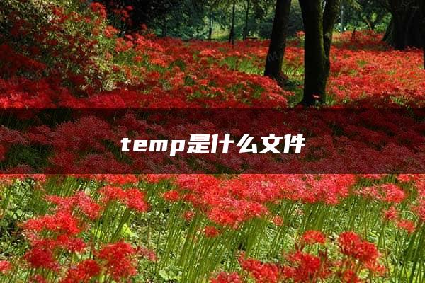 temp是什么文件