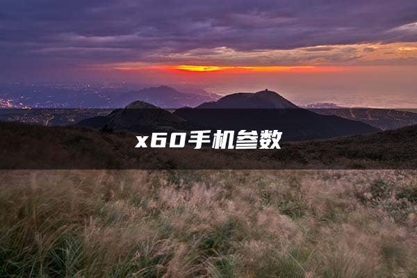 x60手机参数