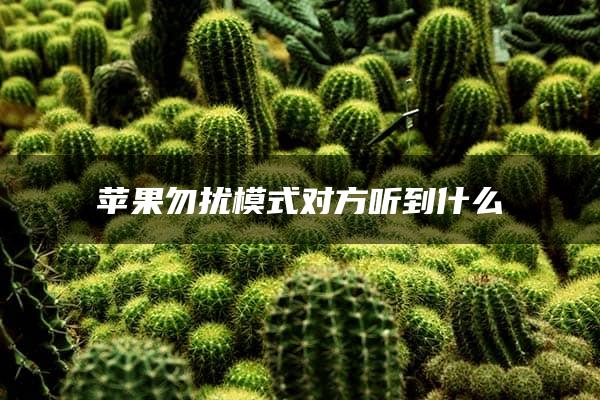 苹果勿扰模式对方听到什么