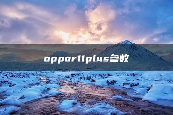 oppor11plus参数