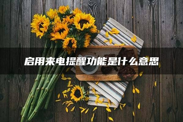 启用来电提醒功能是什么意思