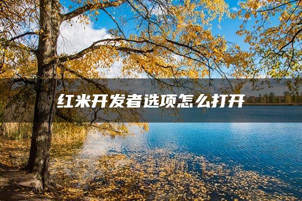 红米开发者选项怎么打开