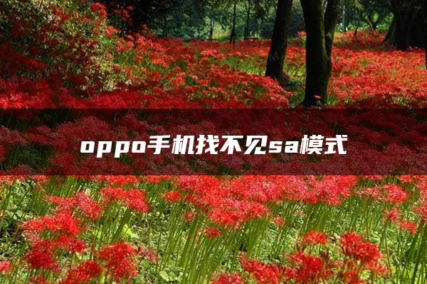 oppo手机找不见sa模式