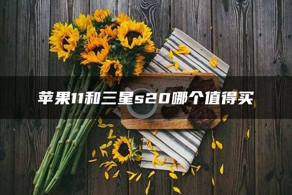 苹果11和三星s20哪个值得买