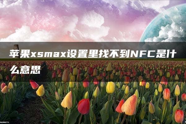 苹果xsmax设置里找不到NFC是什么意思