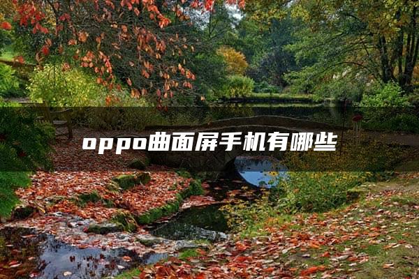 oppo曲面屏手机有哪些