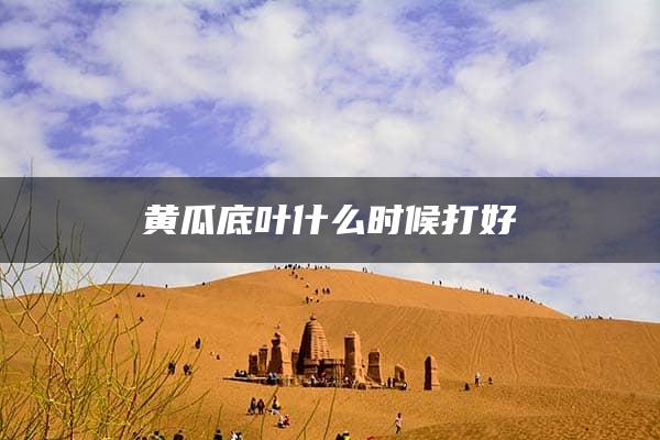 黄瓜底叶什么时候打好