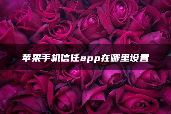 苹果手机信任app在哪里设置