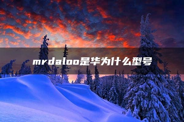 mrdaloo是华为什么型号